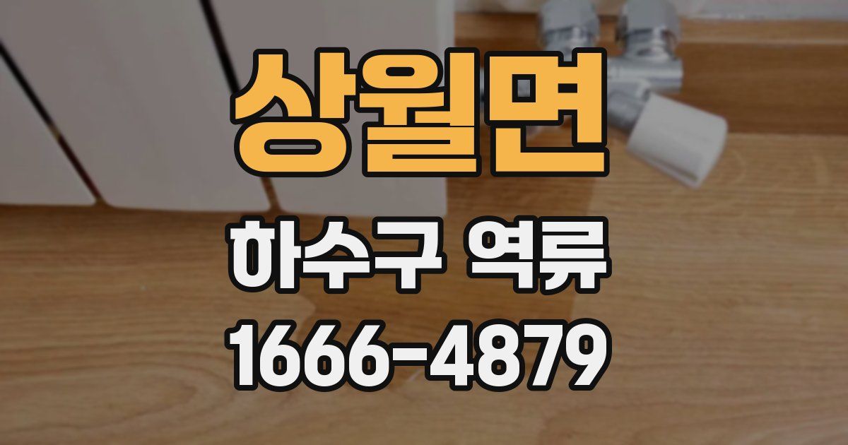 상월면 하수구 역류