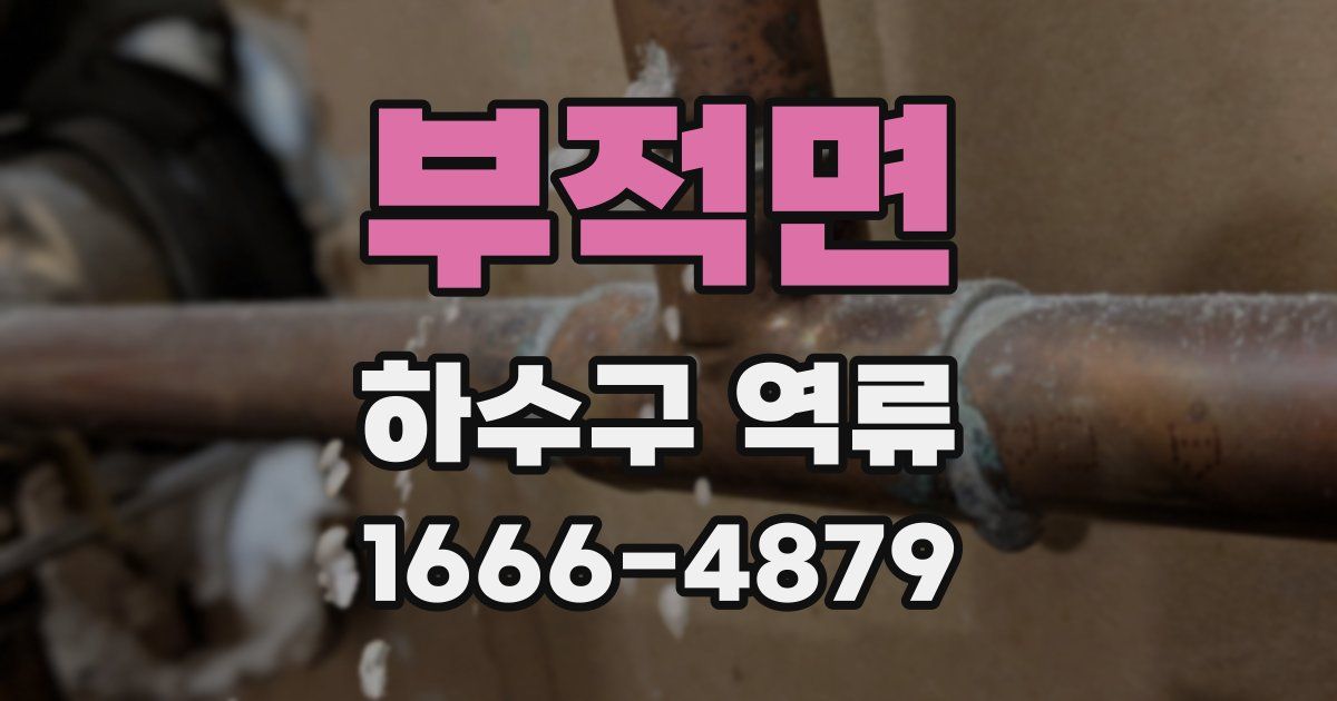 부적면 하수구 역류