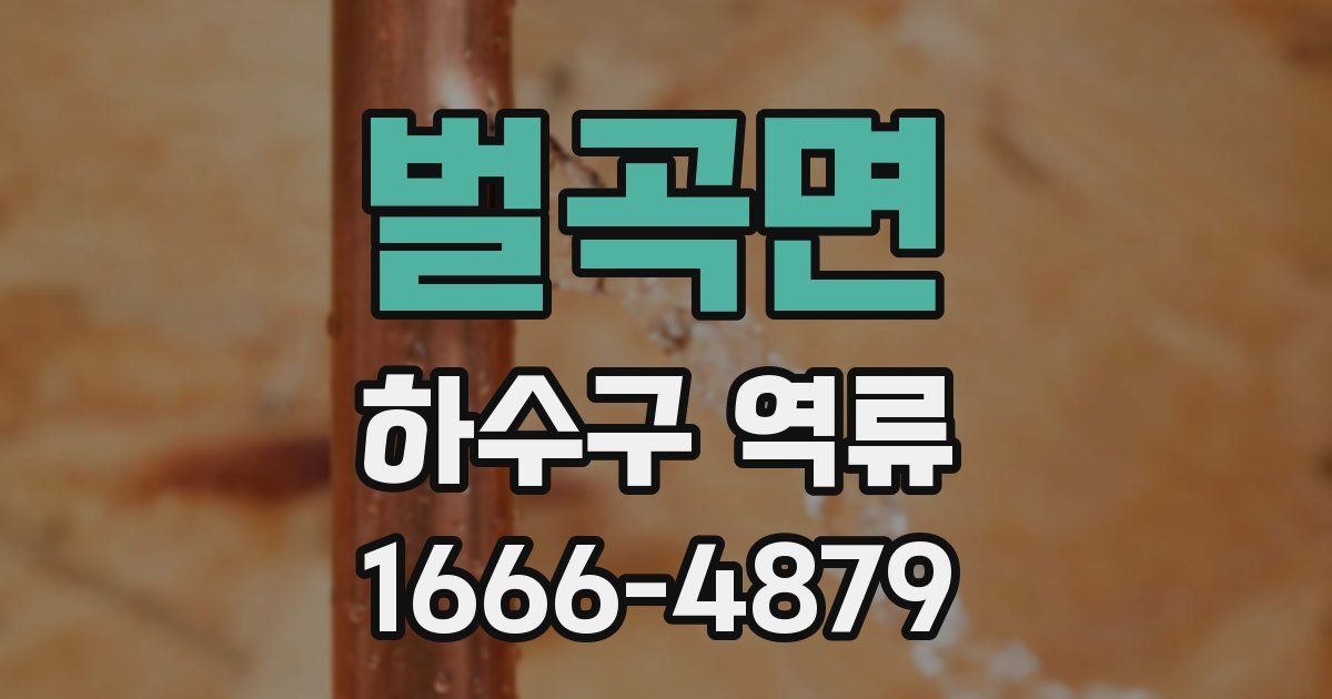 벌곡면 하수구 역류