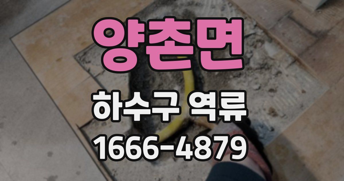 양촌면 하수구 역류
