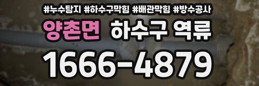 양촌면 하수구 역류