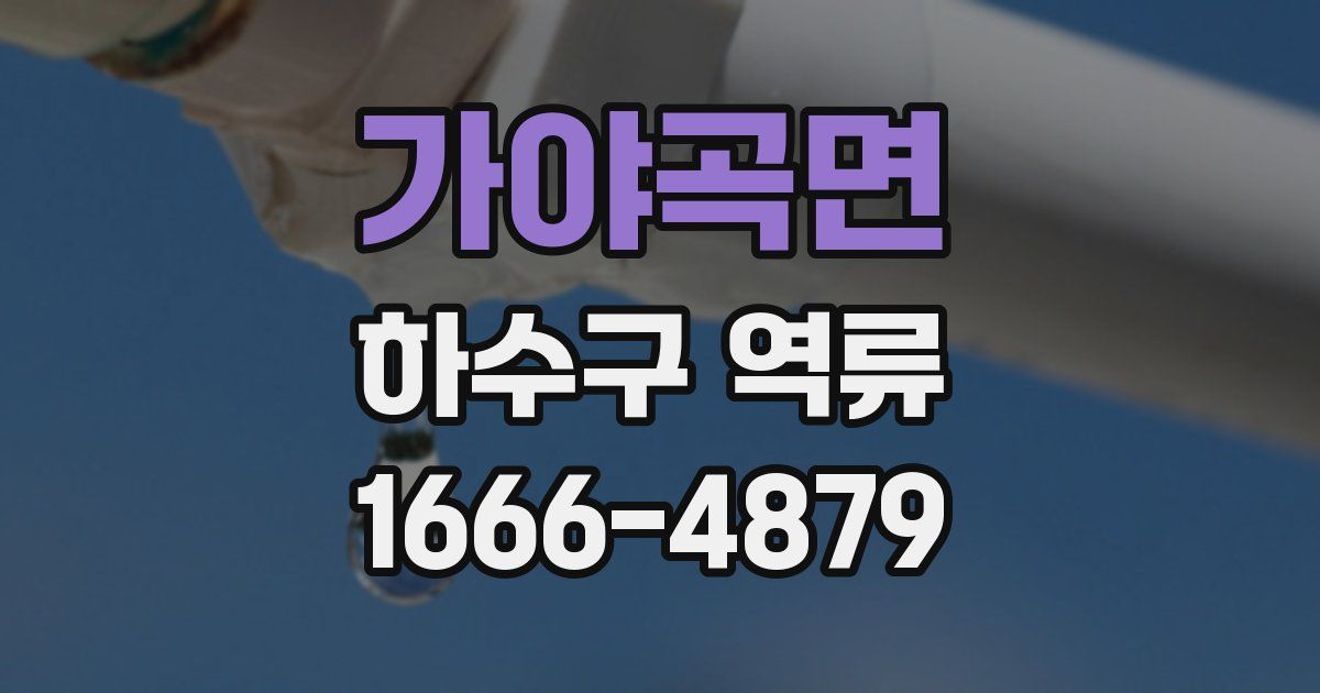 가야곡면 하수구 역류