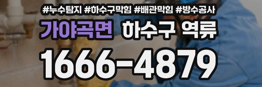 가야곡면 하수구 역류
