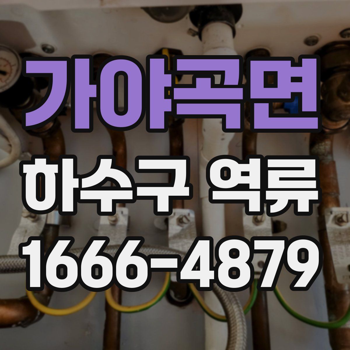 가야곡면 하수구 역류