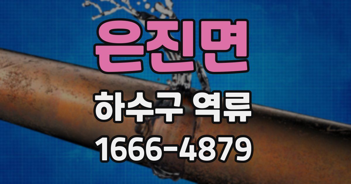 은진면 하수구 역류