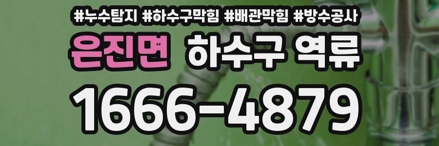 은진면 하수구 역류