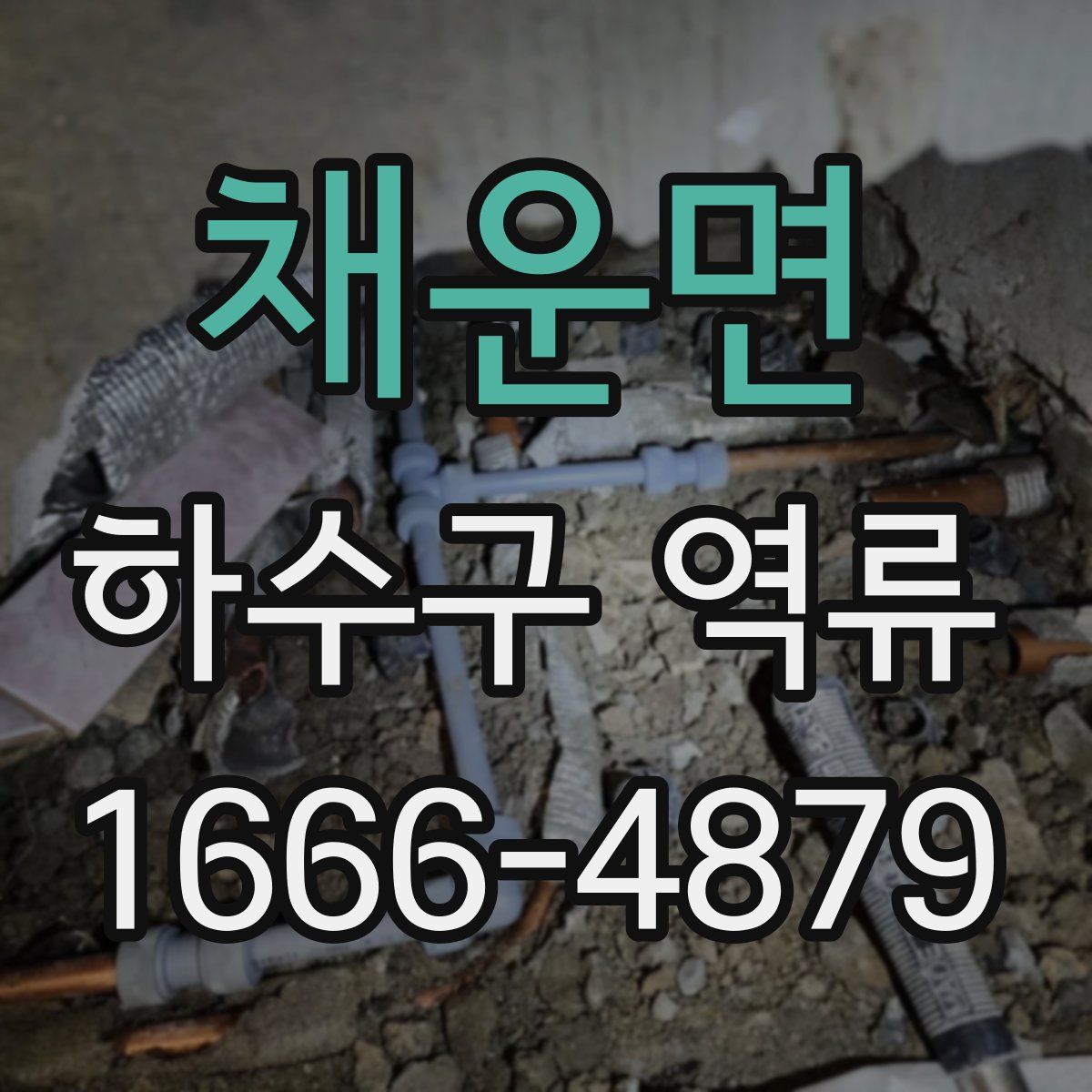 채운면 하수구 역류