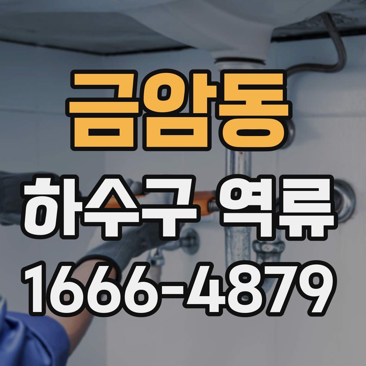 금암동 하수구 역류