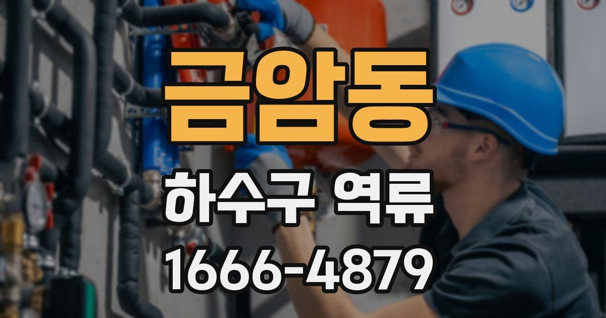 금암동 하수구 역류
