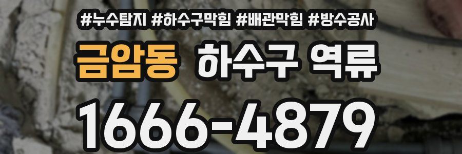 금암동 하수구 역류