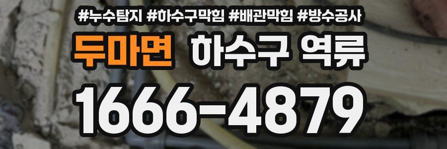 두마면 하수구 역류