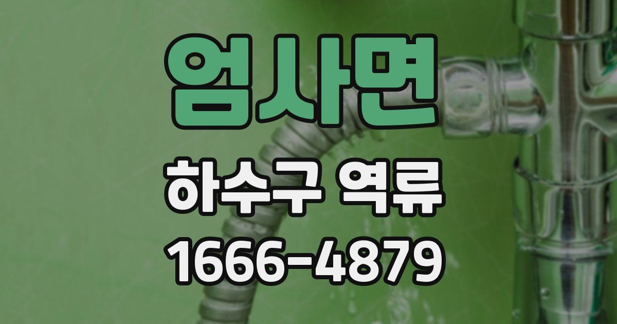 엄사면 하수구 역류