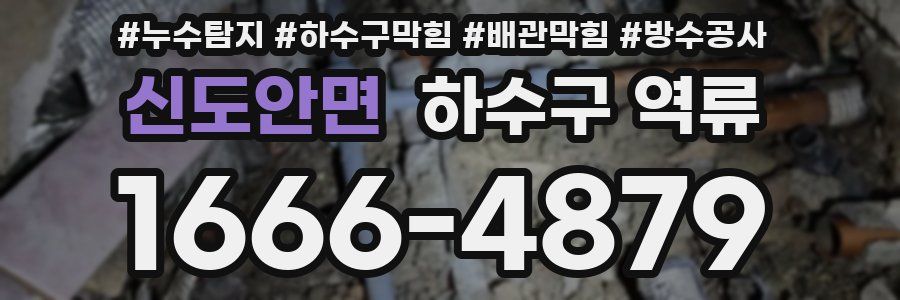 신도안면 하수구 역류