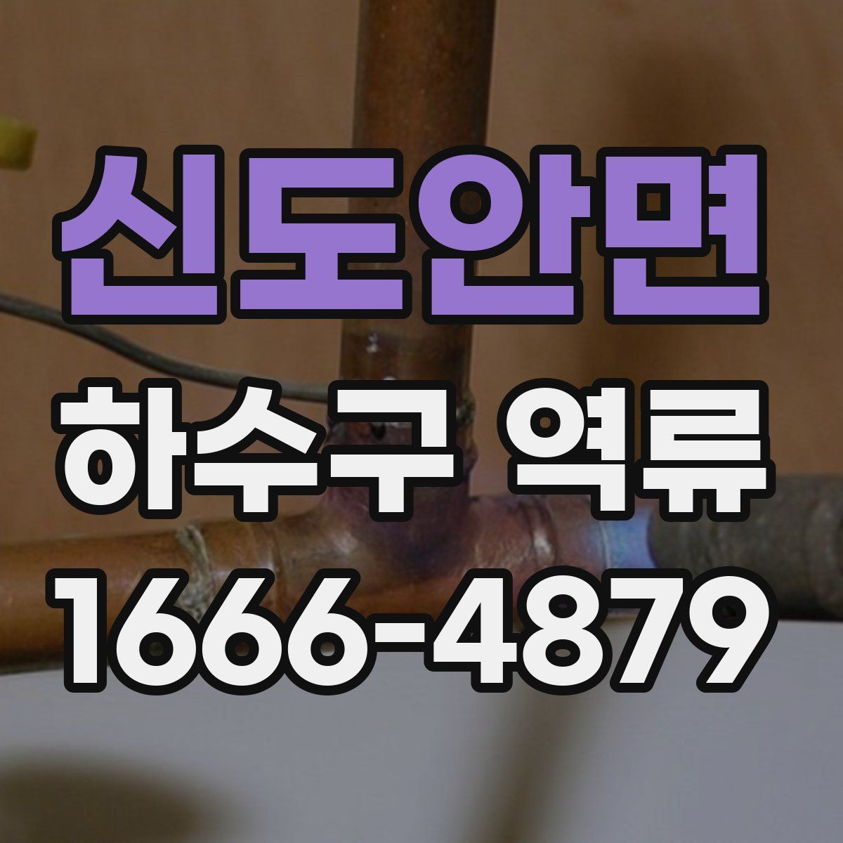 신도안면 하수구 역류