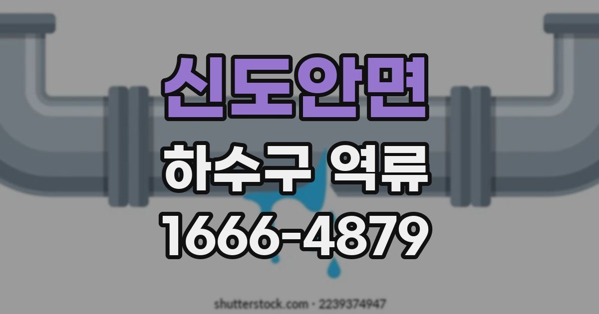 신도안면 하수구 역류
