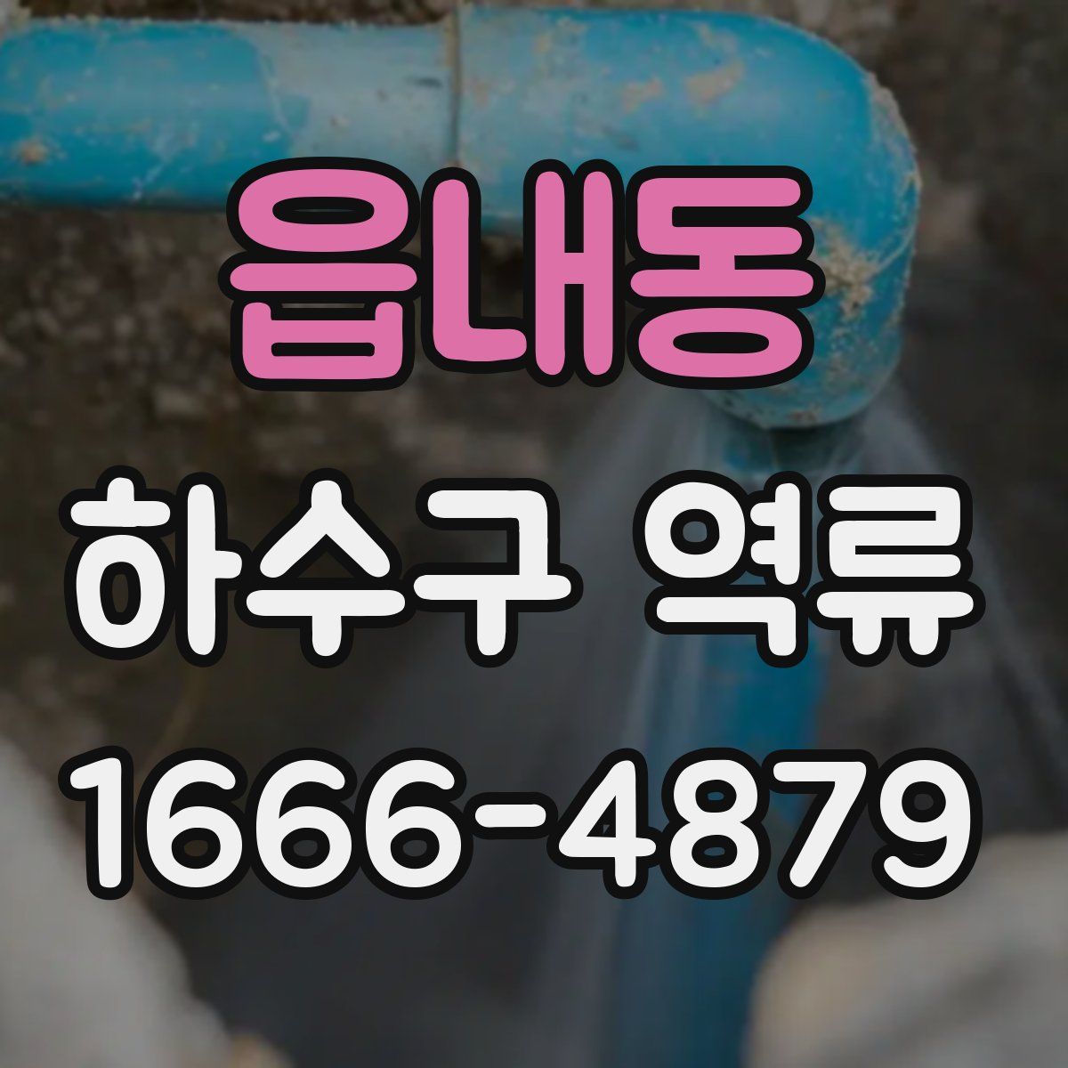 읍내동 하수구 역류