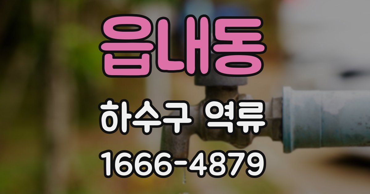 읍내동 하수구 역류