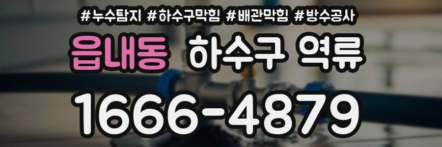 읍내동 하수구 역류