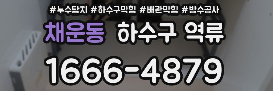 채운동 하수구 역류