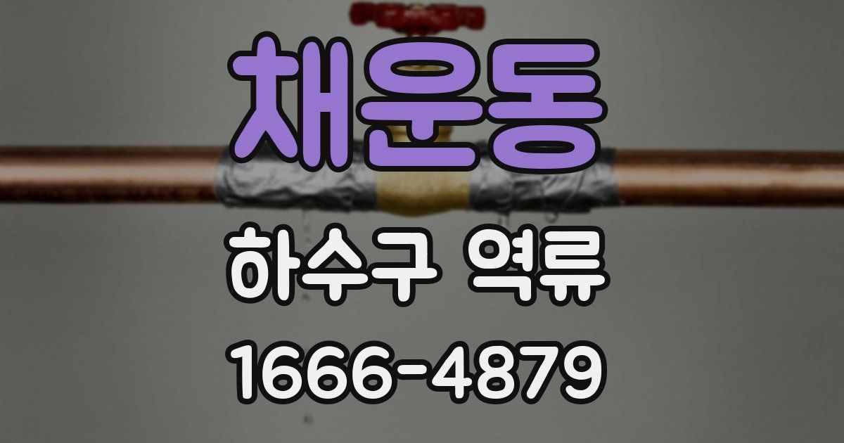 채운동 하수구 역류