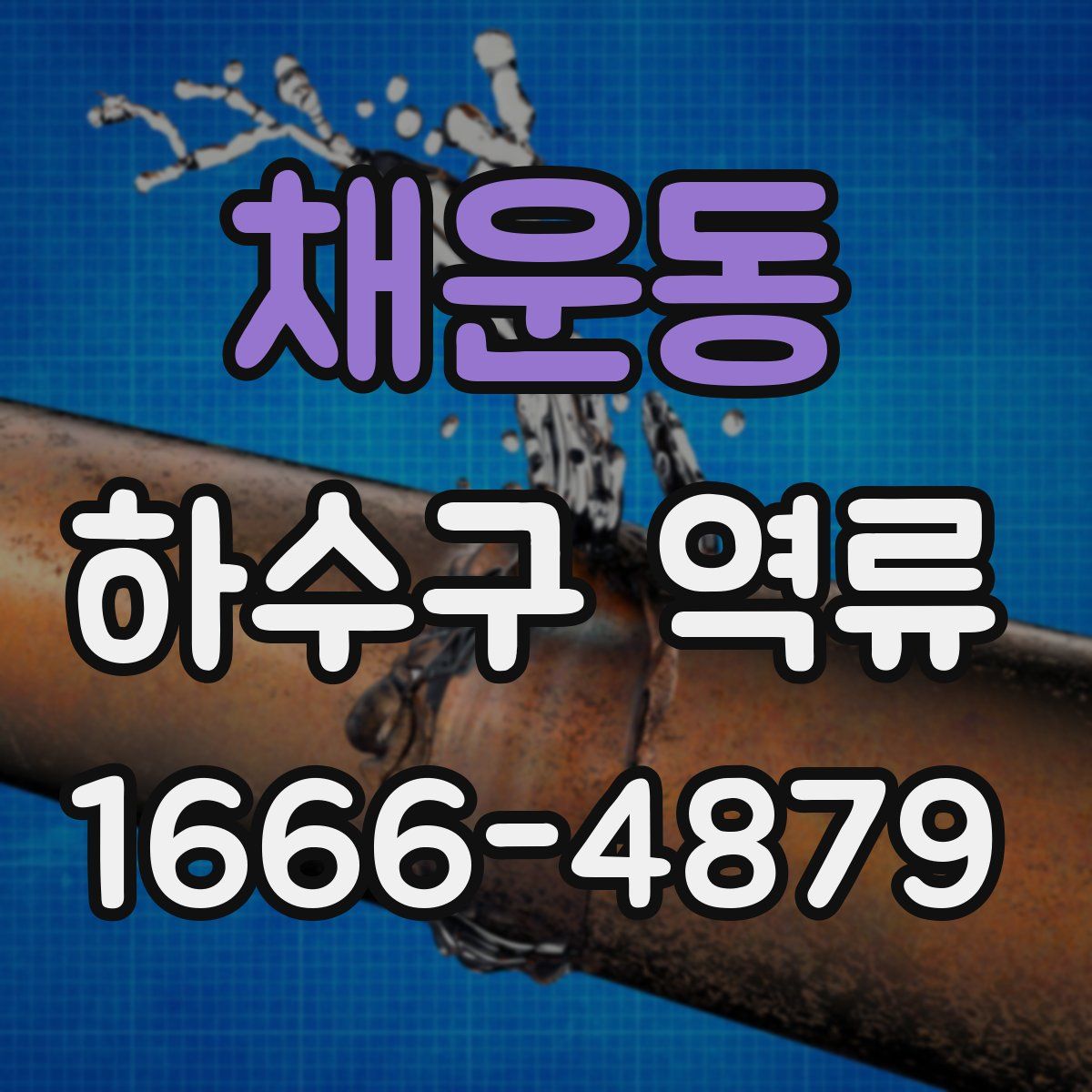 채운동 하수구 역류