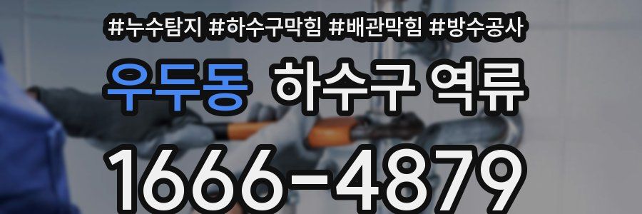 우두동 하수구 역류