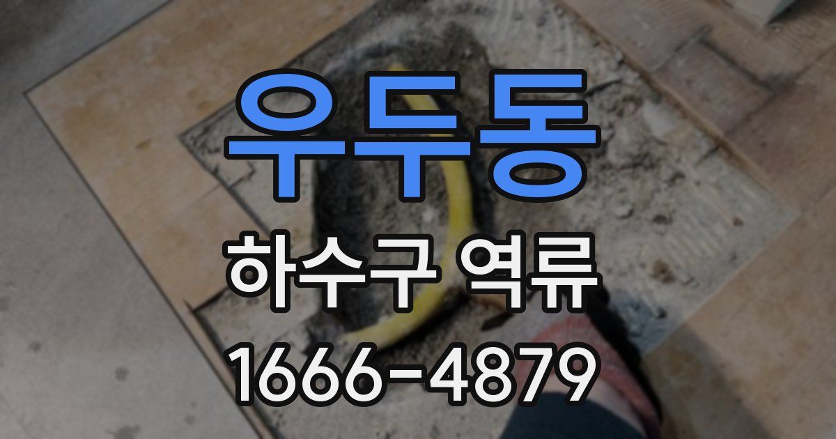 우두동 하수구 역류