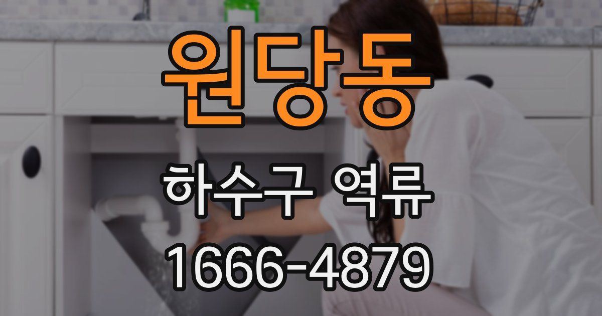 원당동 하수구 역류