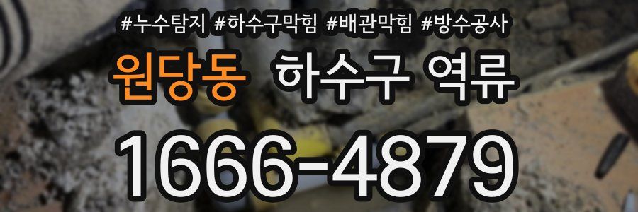 원당동 하수구 역류