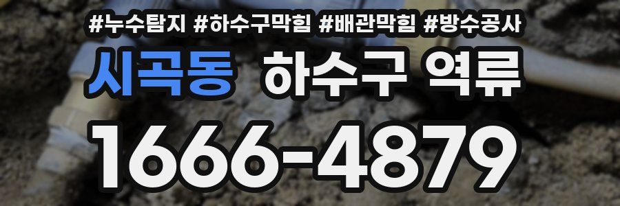 시곡동 하수구 역류