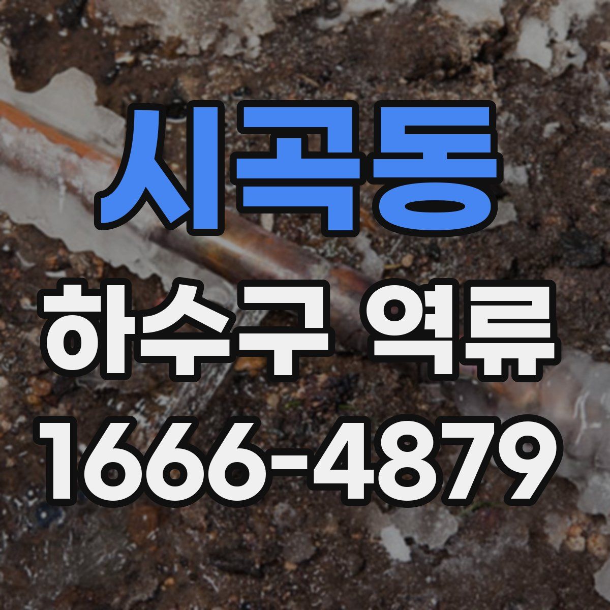 시곡동 하수구 역류