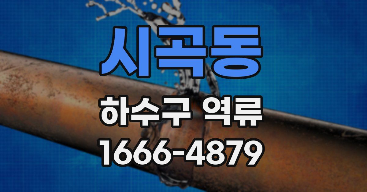 시곡동 하수구 역류