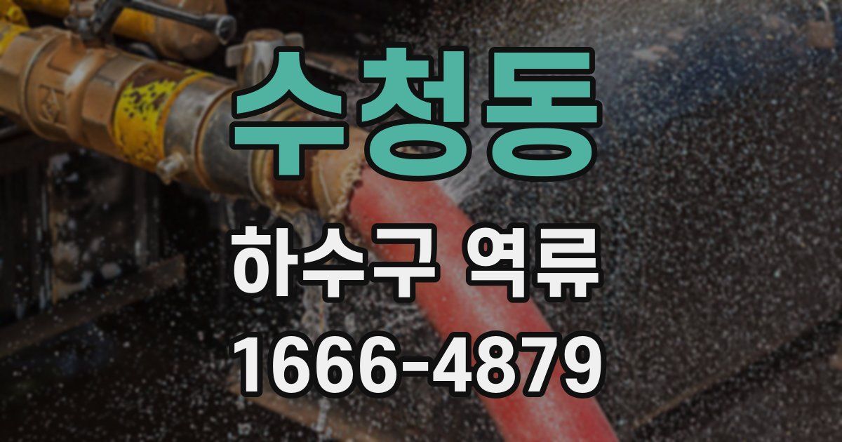 수청동 하수구 역류