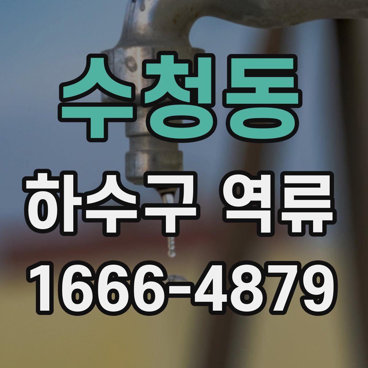 수청동 하수구 역류