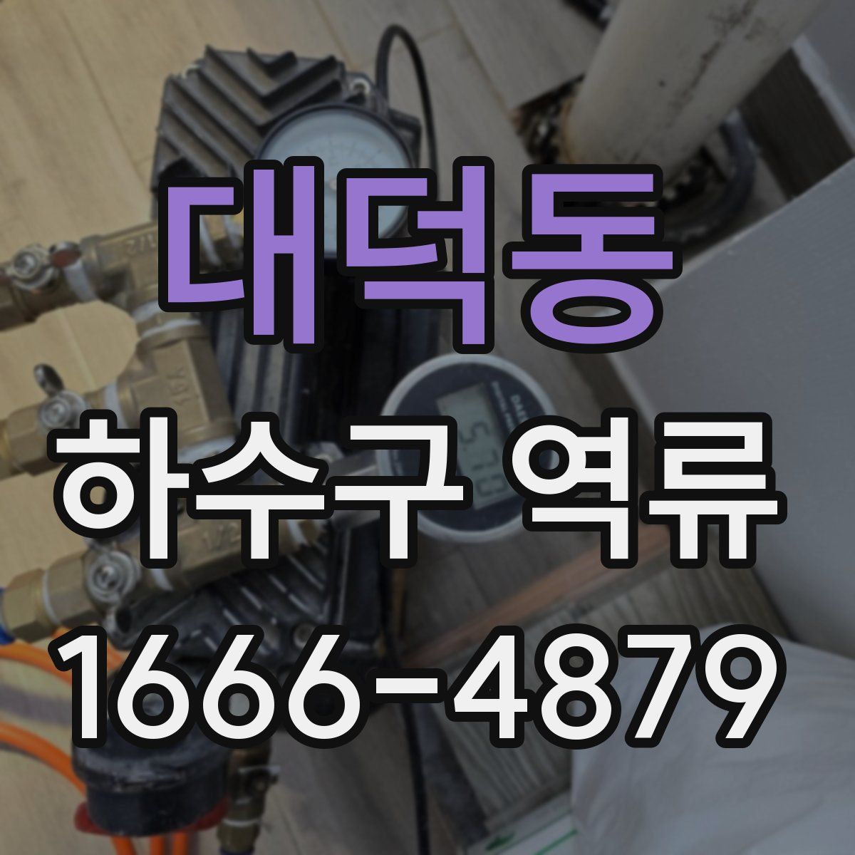 대덕동 하수구 역류