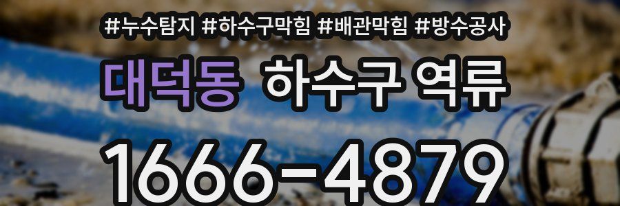 대덕동 하수구 역류