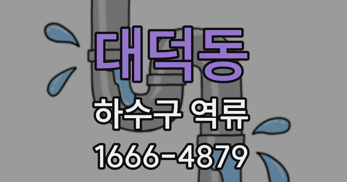 대덕동 하수구 역류