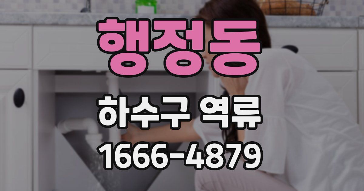 행정동 하수구 역류