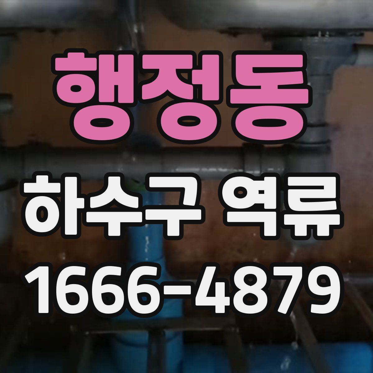 행정동 하수구 역류