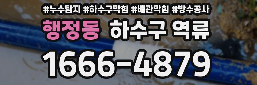 행정동 하수구 역류