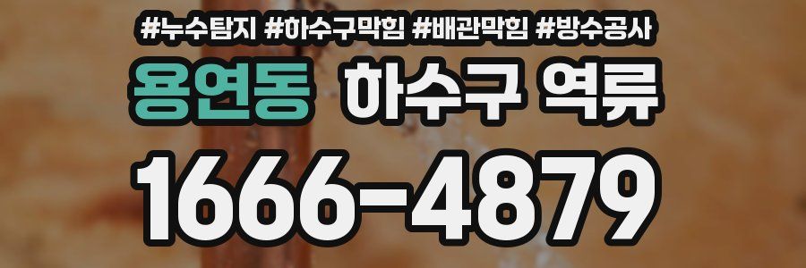 용연동 하수구 역류