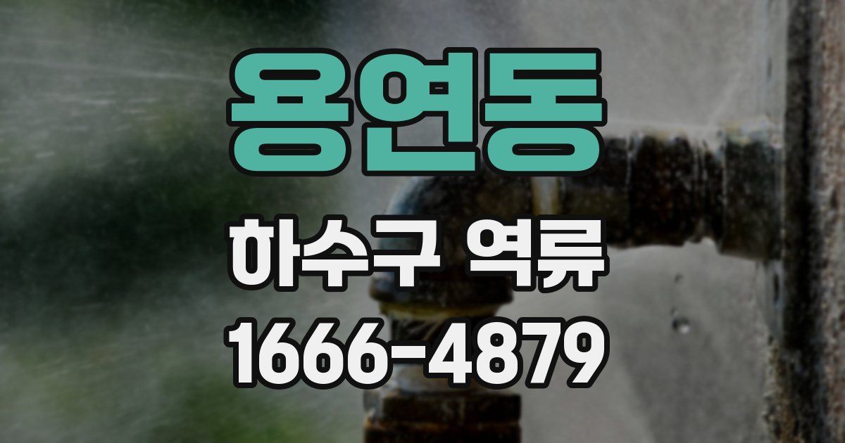 용연동 하수구 역류