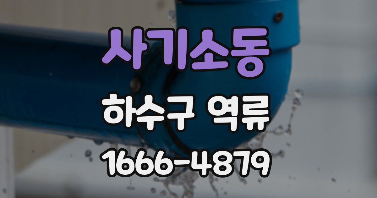 사기소동 하수구 역류