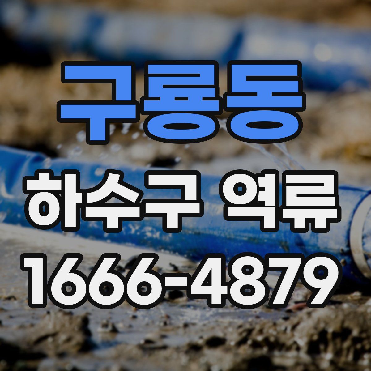 구룡동 하수구 역류