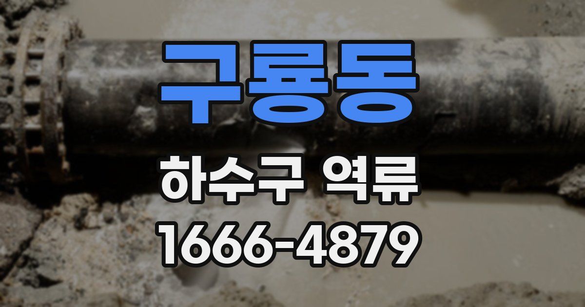 구룡동 하수구 역류