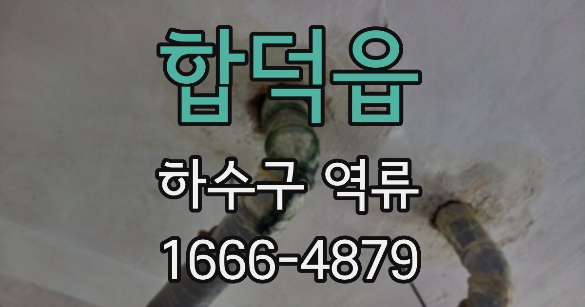합덕읍 하수구 역류