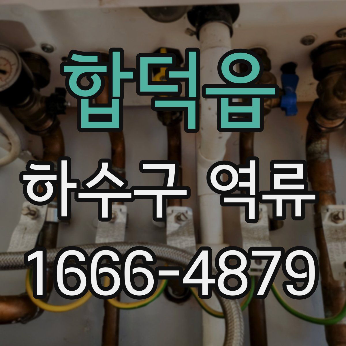 합덕읍 하수구 역류