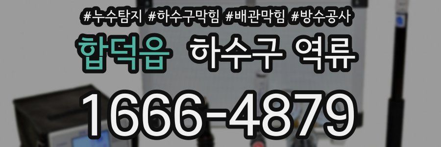 합덕읍 하수구 역류