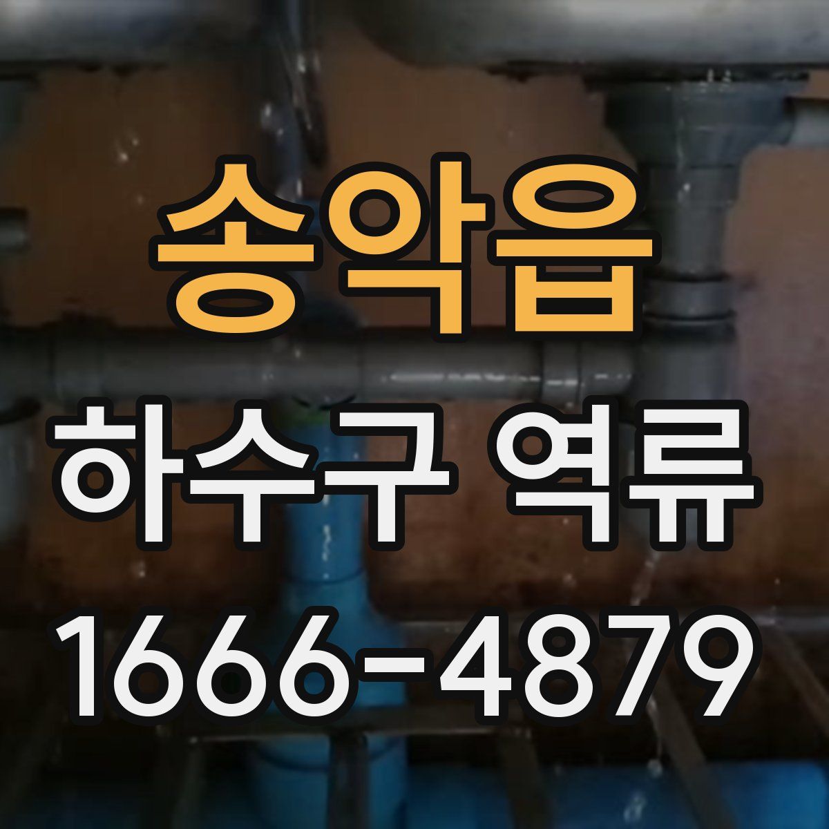 송악읍 하수구 역류