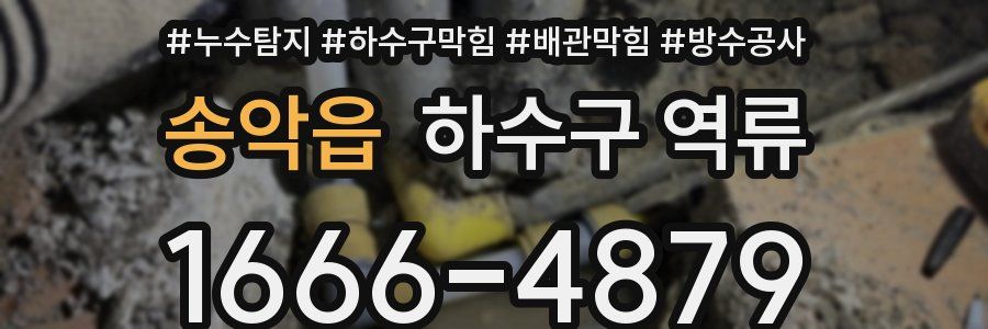송악읍 하수구 역류